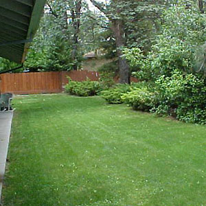 Clean Up - After