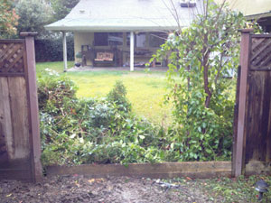 Luis Gardening